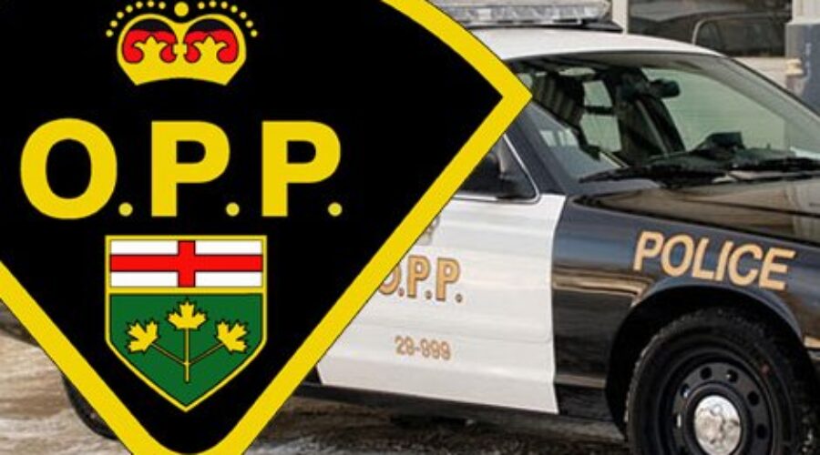 Kenora Man In Custody Following Gordon Lake Incident