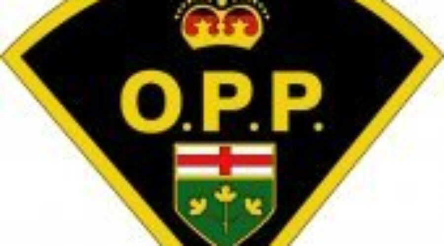 opp-logo2_1 Police Respond To Assault In Sioux Lookout