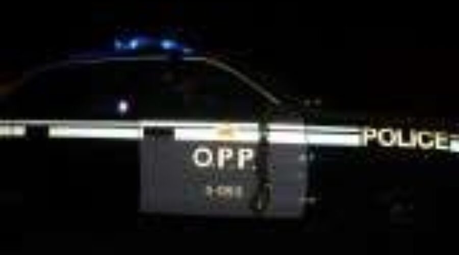 OPP Identify Three Young Dryden Men As Victims of Crash