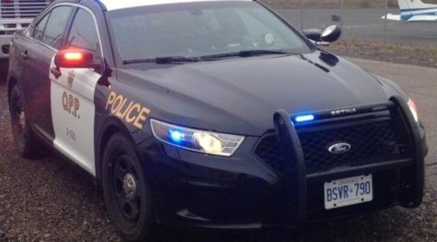 opp20squad20car20with20lights_10_7 Theft Of Gas Results In Multiple Charges