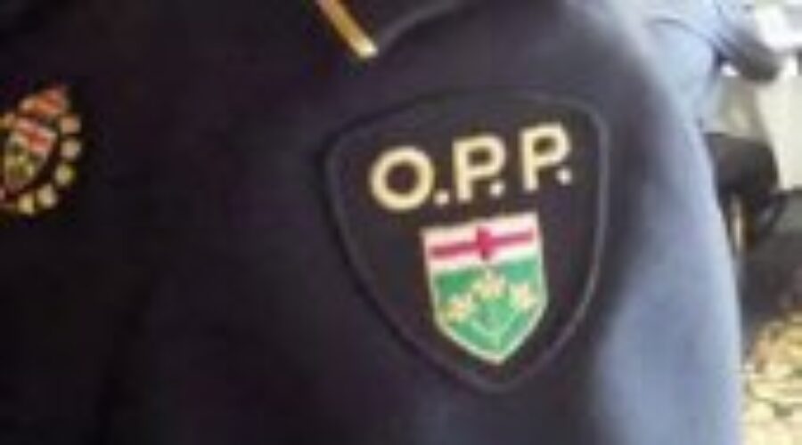 OPP Search For A Wanted Man