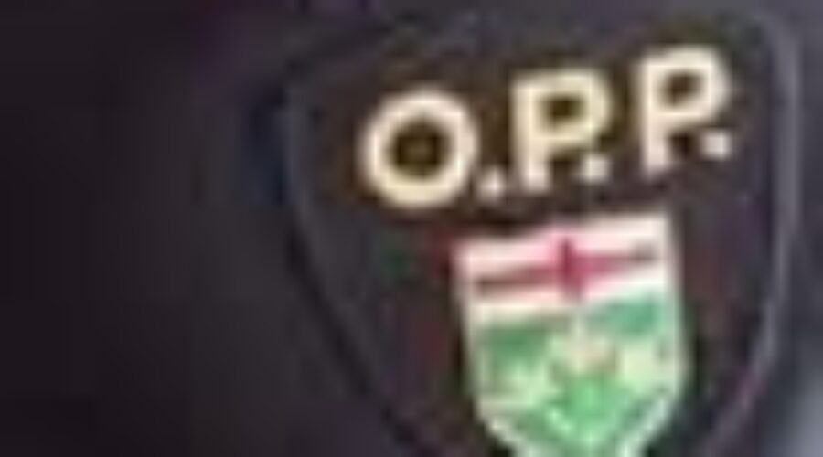 OPP Charge Woman Following A Disturbance