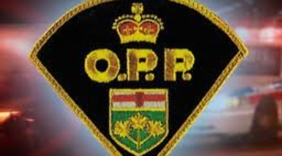 opp_104 Truck Crashes Into Joyce Lake
