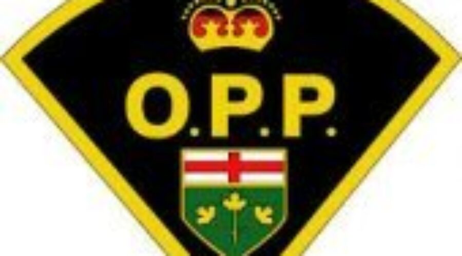 Winnipeg Man Identified In Fatal Crash