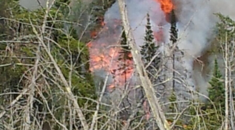 Crews Mopping Up Fire On 502 – Homes Saved