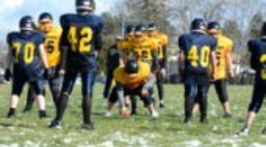 Falcons Face Fort Frances In Saturday Football