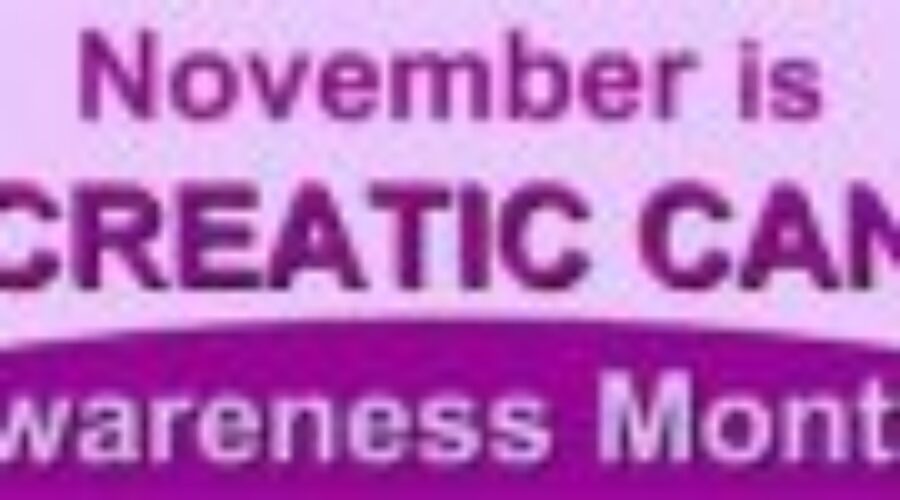 Put An End To Pancreatic Cancer