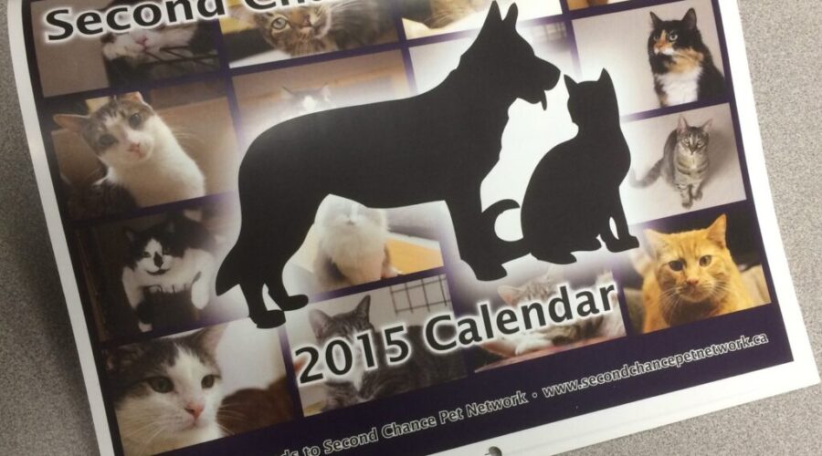 Fundraiser For Second Chance Pet Network
