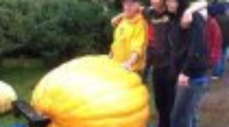Max Lang Wins Great Pumpkin Weigh Off