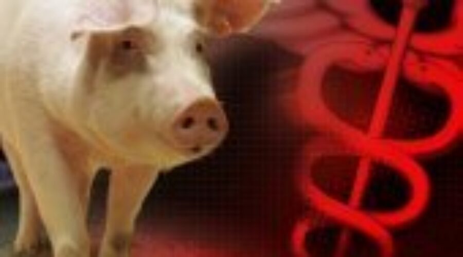 New Flu Strain Hits Our Neighbours