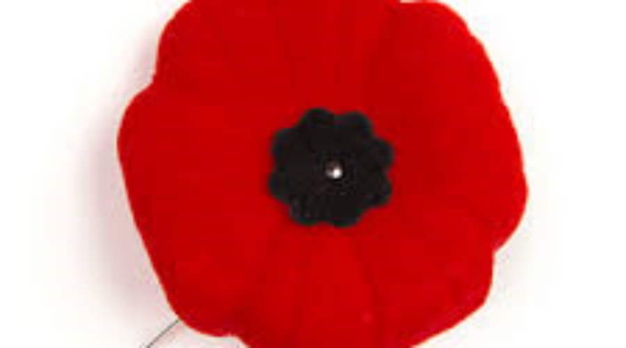 Poppy Donations Stay In Community