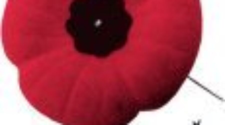 Remembrance Day Ceremony In Dryden