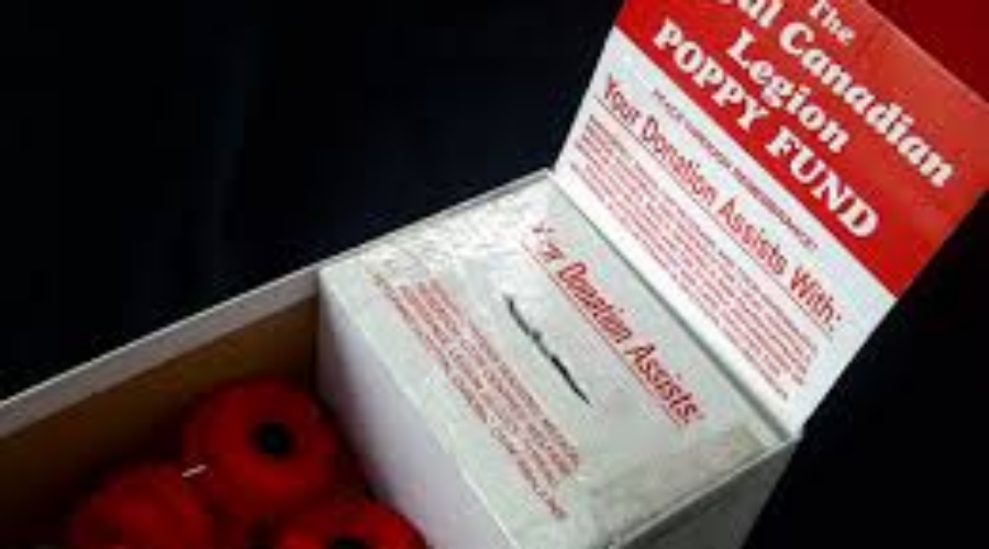 Stolen Poppy Donation Box In Dryden