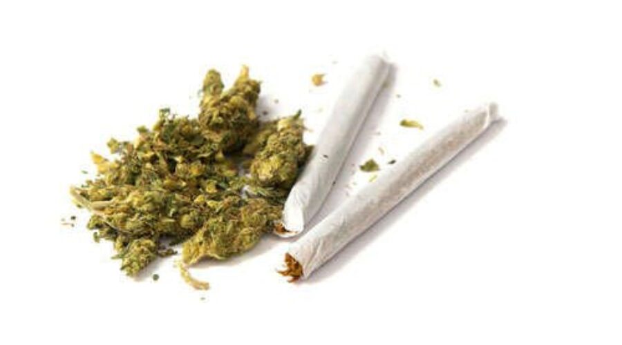 pot_7 Report Released On Driving Under The Influence Of Pot