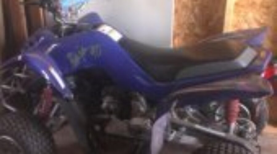 purple-bike Young Girl Hoping For The Return Of Stolen Bike