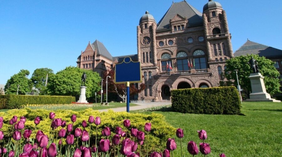 Rare Summer Sitting At Queen’s Park
