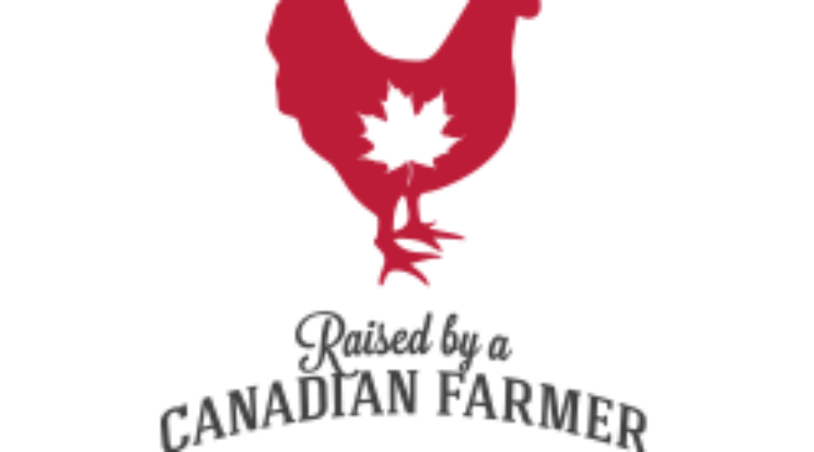 Poultry Concerns Being Addressed At Dryden Forum