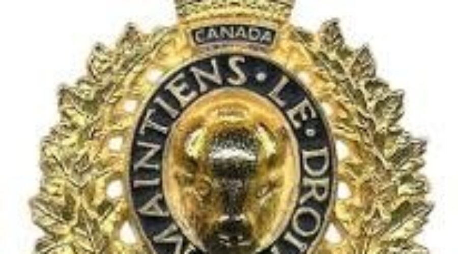 Police Charge Second Person In Gun Sting Operation