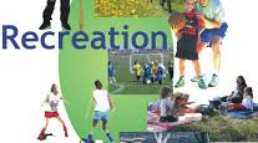 Dryden To Form Rec Committee