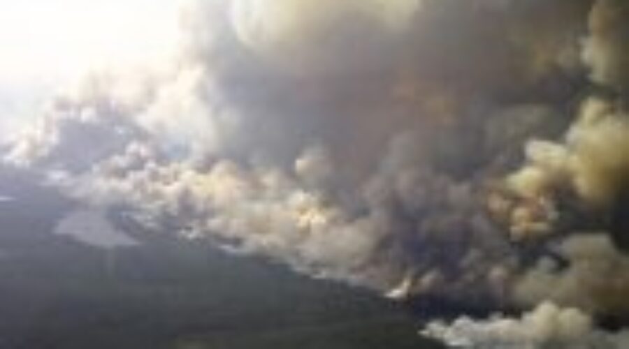 Forest Fire Season Has Come To An End