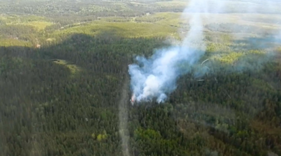 Forest Fire Hazard Dropping; More Personnel Coming Home