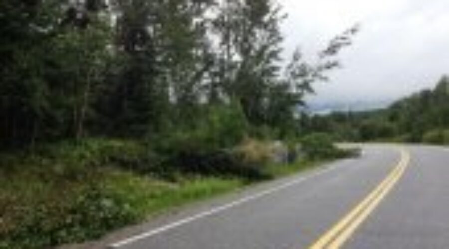 redditt20road20trees Windy Weekend Across The Region