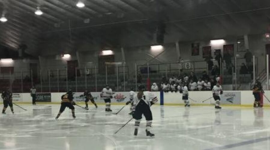 Dryden Eagles Girls Begin Playoff Push Tonight