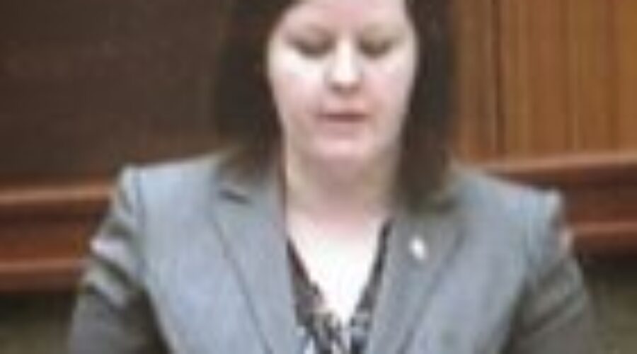 Private Members Bill On Energy Retailers Presented