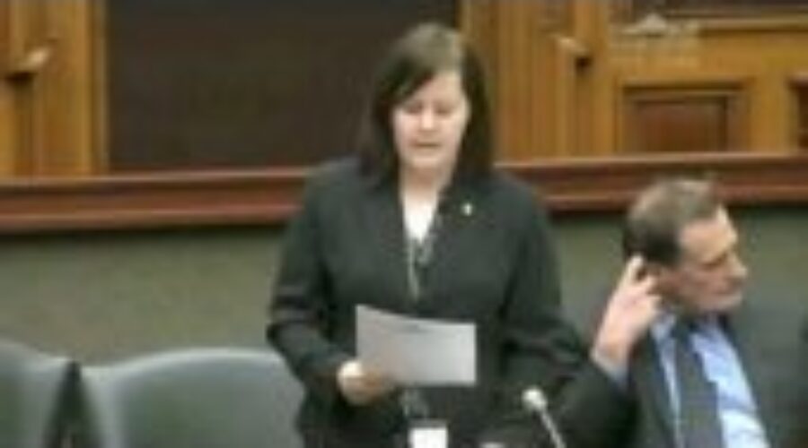 Petition Presented To Ban Declawing Of Cats