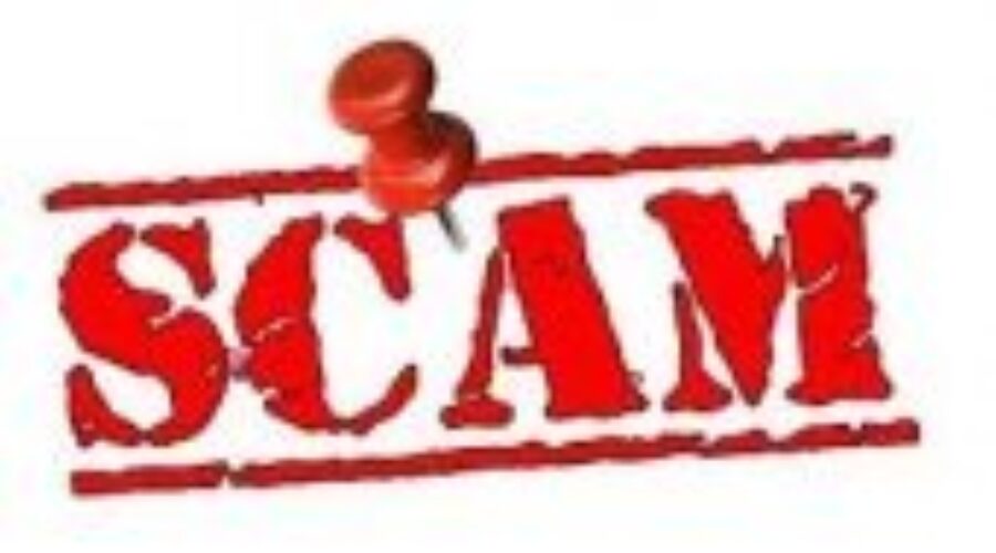 Shopper Scam Back