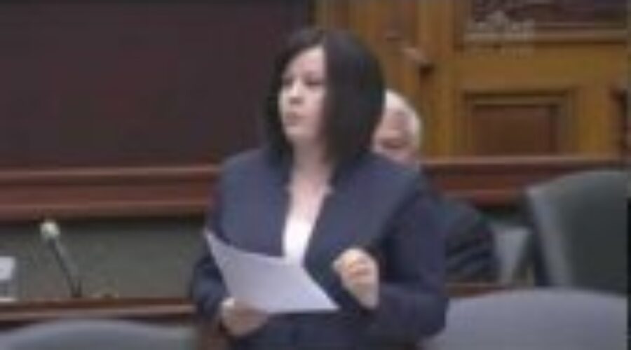 scamp Sarah Campbell Named Critic For Community And Social Services