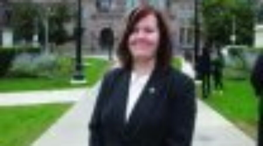 scimages_0 Local MPP Hoping For Policing Solution
