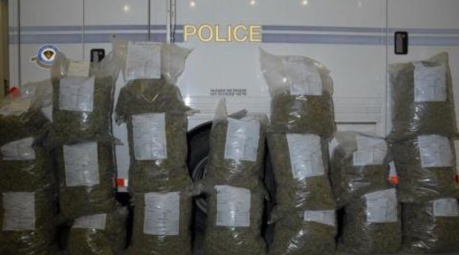 Major Pot Seizure In Dryden