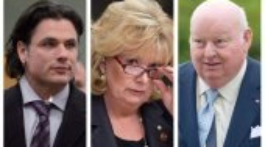 Wallin, Brazeau and Duffy Suspended Without Pay
