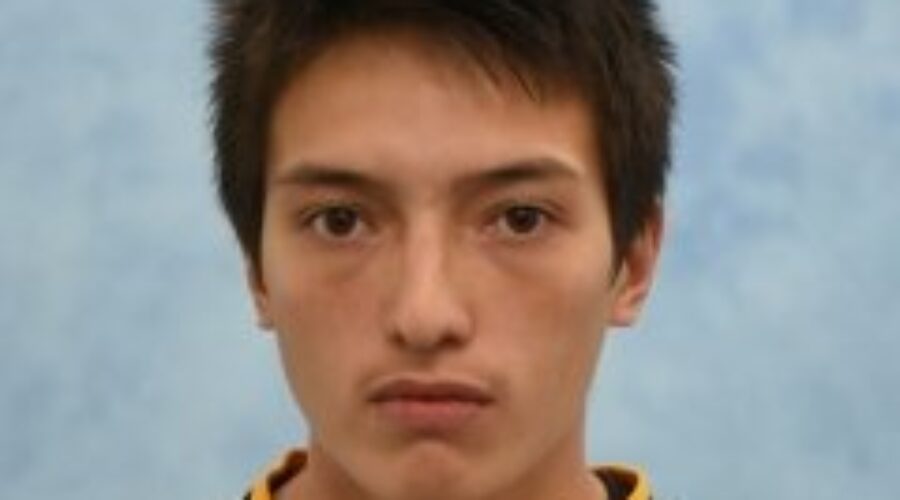 Suspension From Ice Dogs-North Stars Game