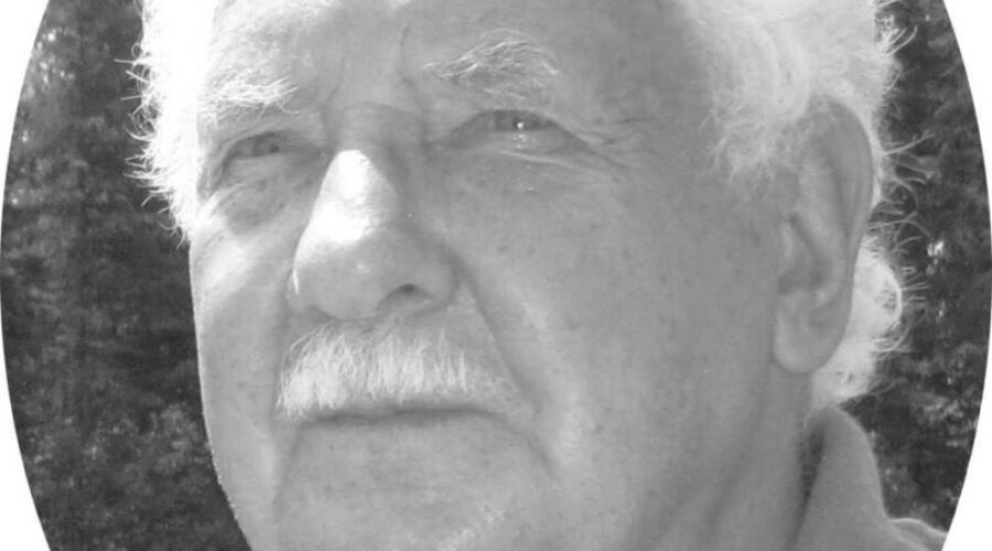 smyk Dennis Smyk Ignace Council Profile
