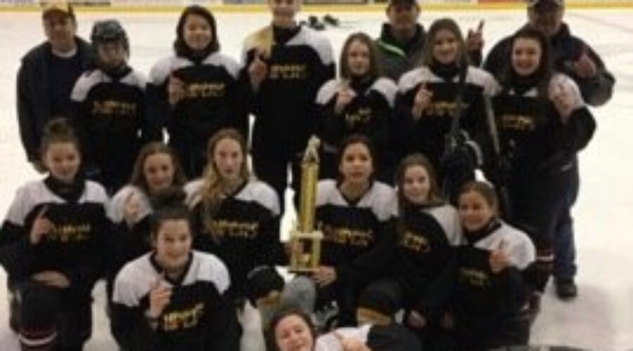 Dryden Snipers Win Gold South Of Border; Dryden Atom Teams In Cochenour
