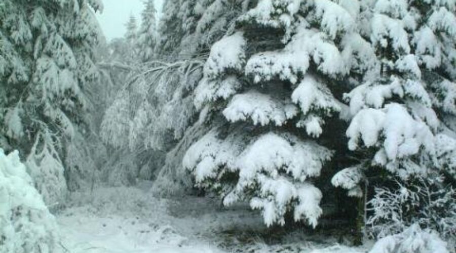 Record Low Temperatures Set In The Region Yesterday