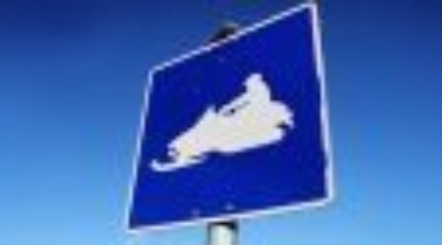 OPP Asking Snowmachiners To Use Caution