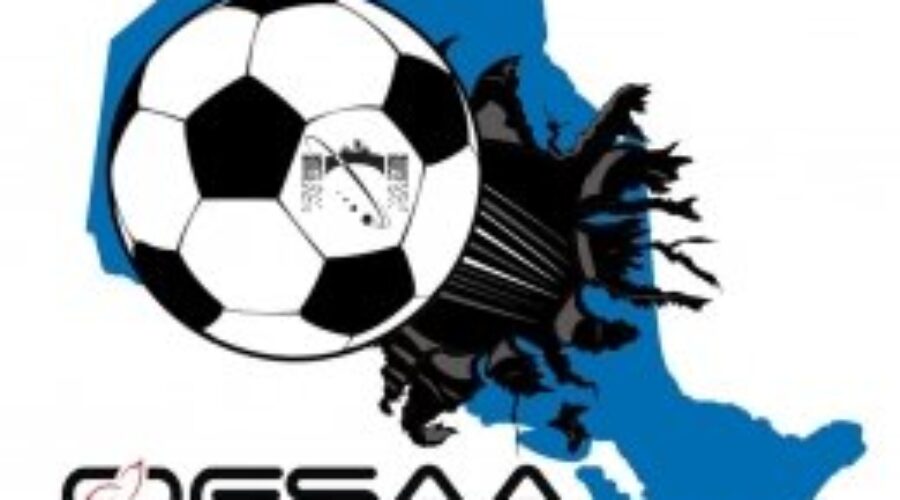 Warriors Drop First Two Games At OFSAA