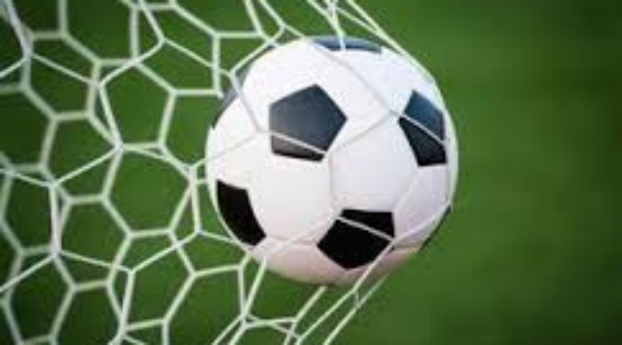 Caution Win Dryden Women’s Soccer Title