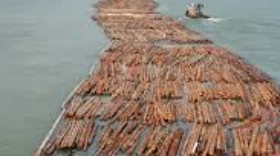 Long Standing Forestry Agreement Comes To An End