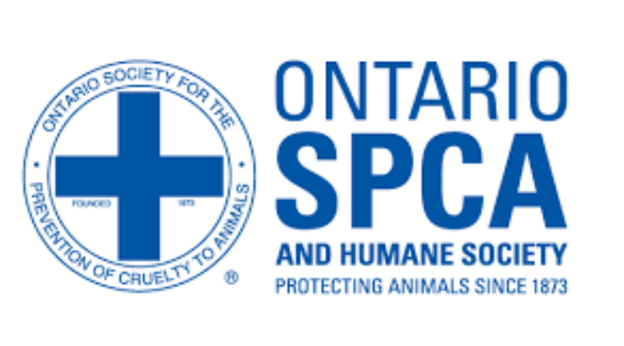 SPCA Helping Dogs In Kashechewan