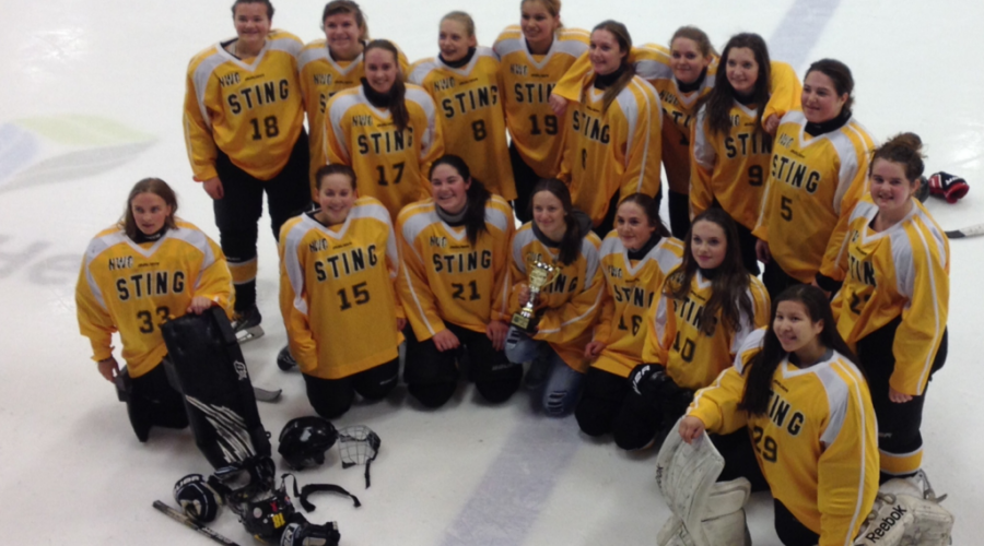 Sting Return Home With Bronze Medal