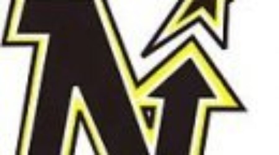 North Stars Blank Flyers