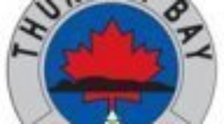 tbaypolicelogo_0 2 In Custody For Canada Day Killing In Thunder Bay