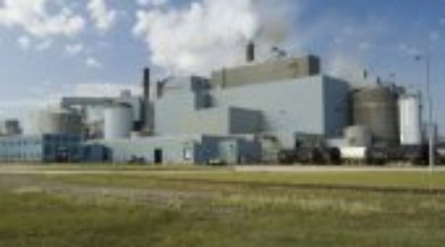 Mill Faces Charges After Employee Was Killed