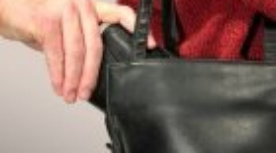 Thefts and Frauds Hit Northern Ontario