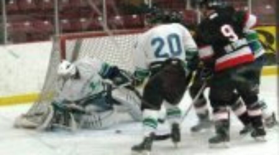 thisles-vs-southeast Two Wins For Senior Thistles On Home Ice