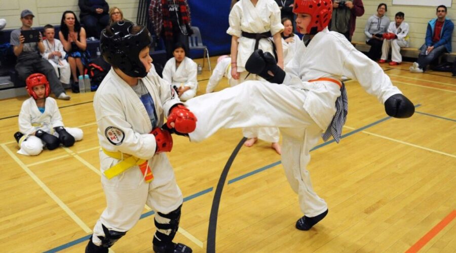 Good Showing For Local Athletes At Karate Tournament